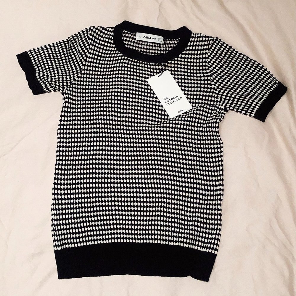 NWT Zara Textured Weave Knit Short Sleeve Sweater